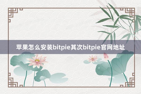 苹果怎么安装bitpie其次bitpie官网地址