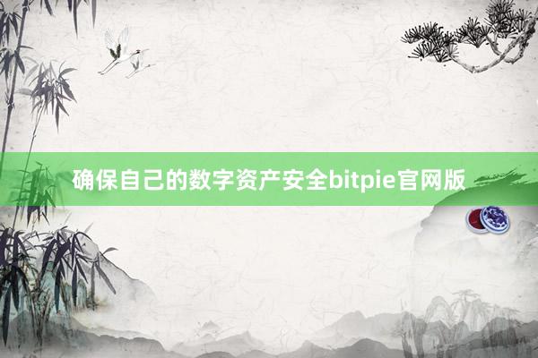 确保自己的数字资产安全bitpie官网版