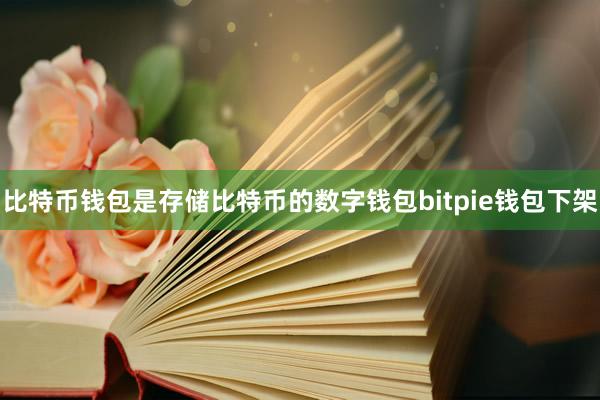 比特币钱包是存储比特币的数字钱包bitpie钱包下架