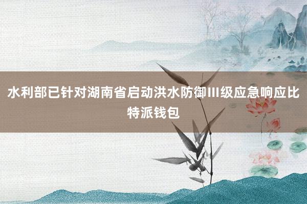 水利部已针对湖南省启动洪水防御Ⅲ级应急响应比特派钱包