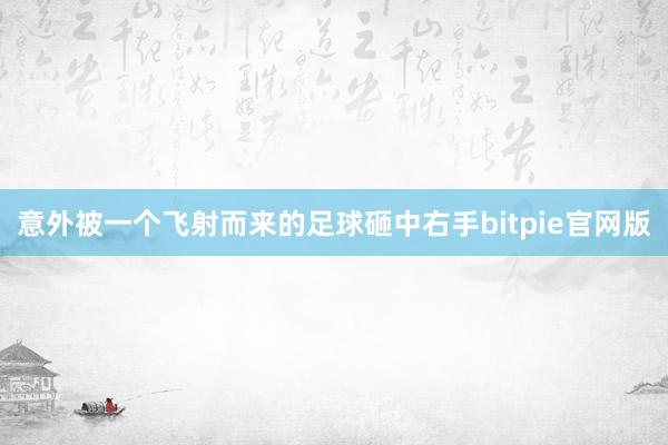 意外被一个飞射而来的足球砸中右手bitpie官网版