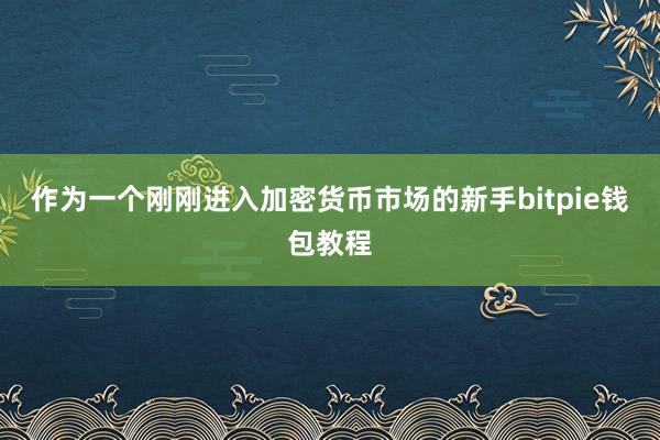 作为一个刚刚进入加密货币市场的新手bitpie钱包教程