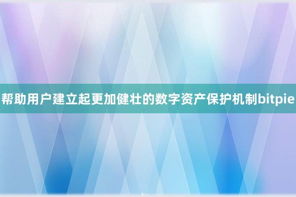 帮助用户建立起更加健壮的数字资产保护机制bitpie