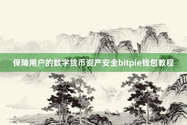 保障用户的数字货币资产安全bitpie钱包教程