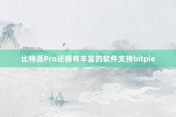 比特派Pro还拥有丰富的软件支持bitpie