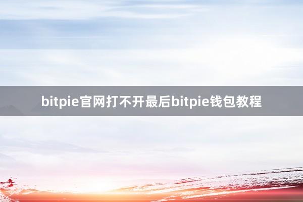 bitpie官网打不开最后bitpie钱包教程