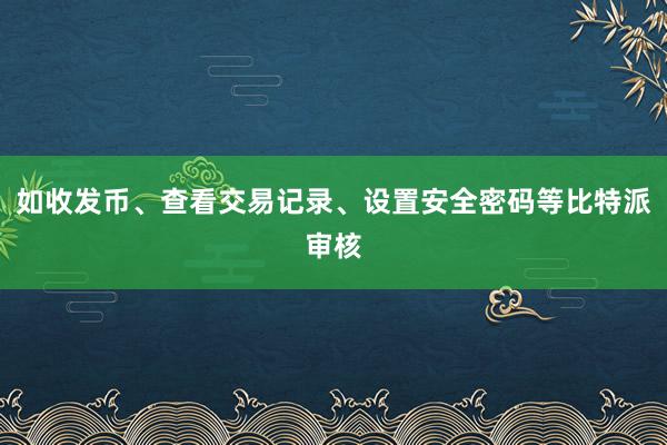 如收发币、查看交易记录、设置安全密码等比特派审核