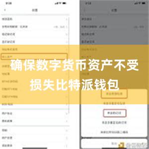 确保数字货币资产不受损失比特派钱包