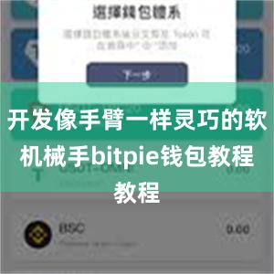 开发像手臂一样灵巧的软机械手bitpie钱包教程